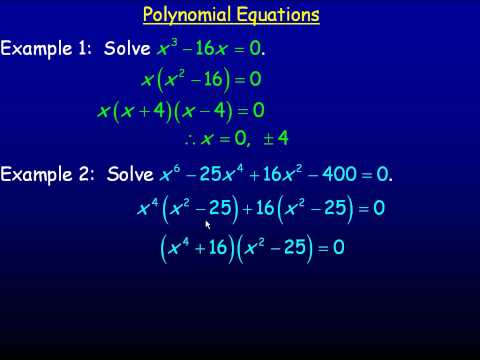 what is a polynomial example