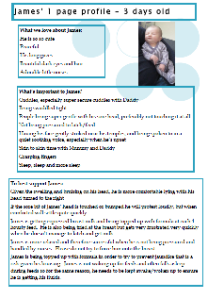 example professional profile one page