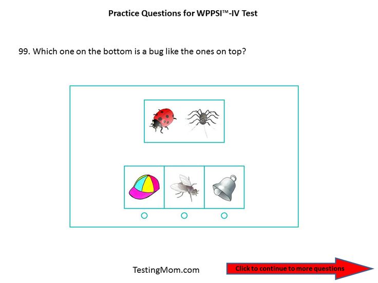 example of wechsler intelligence test
