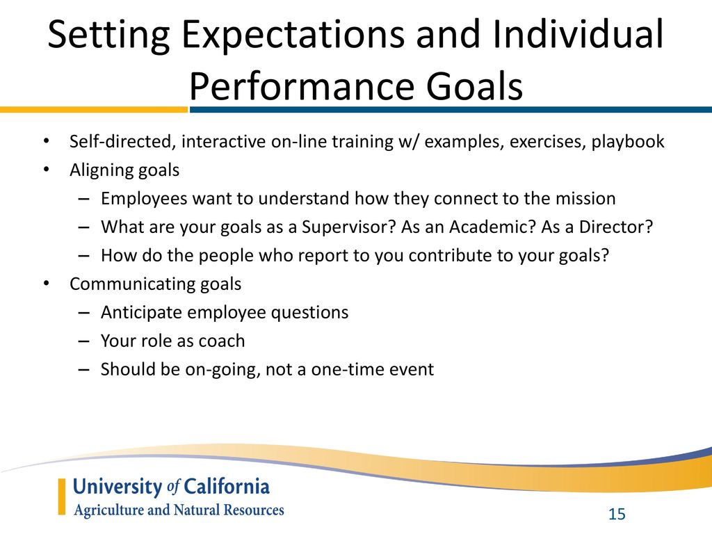 what-is-a-performance-goal-example