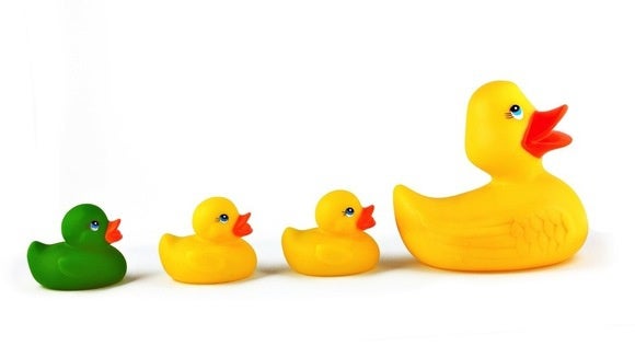 get ducks in a row idiom example