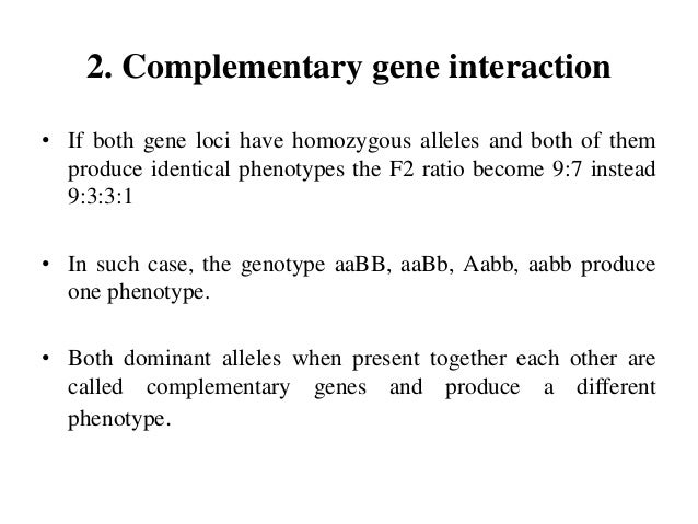 example of an allele and expample of a gene