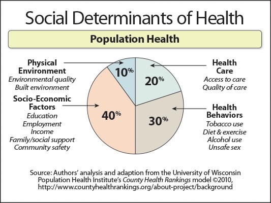 example of social factors affet health