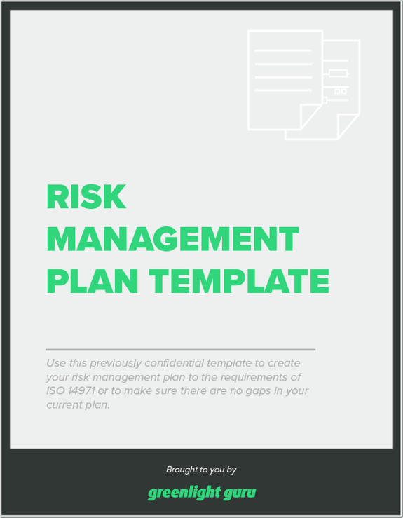 risk management plan example for drugstore