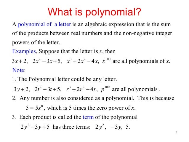 what is a polynomial example