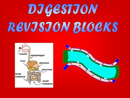 what is an example of chemical digestion