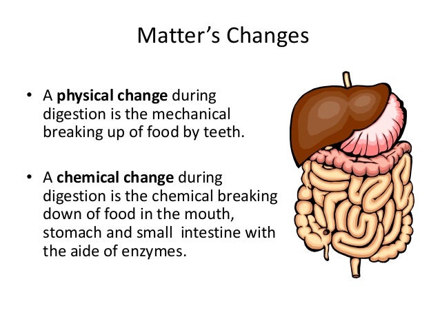 what is an example of chemical digestion